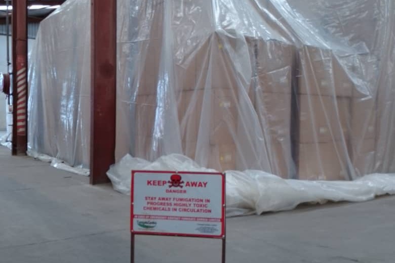 White abstract geometric artwork from Dresden, Germany